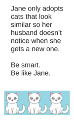 Cat w/Crazy Whiskers, Polymer Fish & Card - Image 4