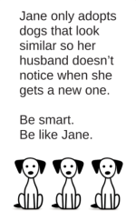 Dog w/Glass Heart & Card (Dog Breed Varies) - Image 4