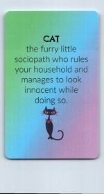 Cat w/Crazy Whiskers, Polymer Fish & Card - Image 3