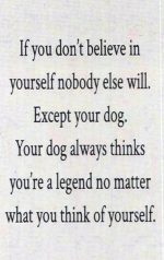 Dog w/Glass Heart & Card (Dog Breed Varies) - Image 3