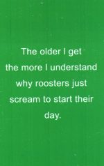 Aluminum Heart w/Glass Chicken, Worm & Leaf w/Card - Image 4