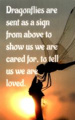 Aluminum Dragonfly w/Glass Tail & Dragonfly Card - Image 3